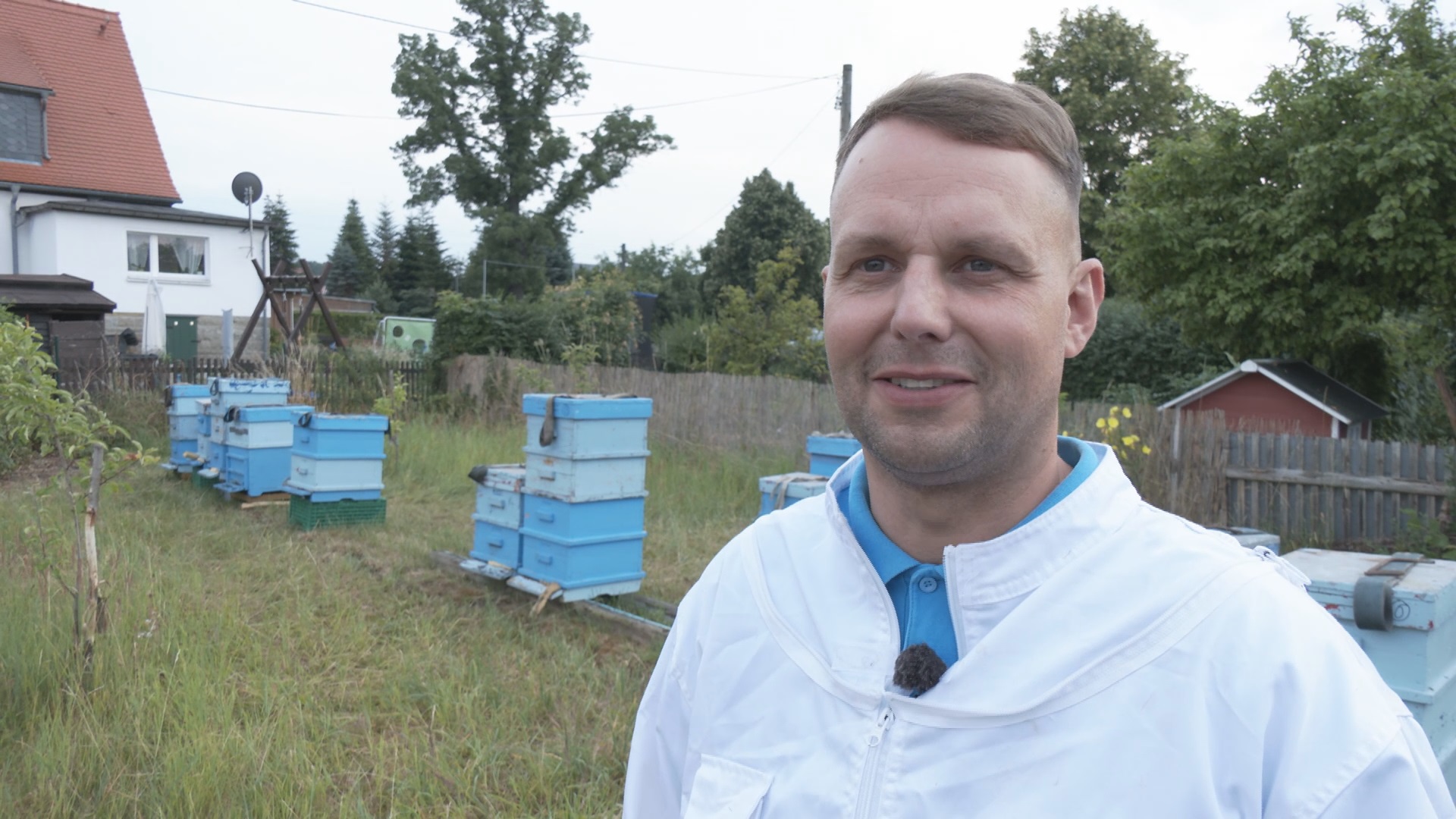 Bienen Von Der A17 Finden Ein Neues Zuhause PIRNA TV Bienen von der a17 finden ein neues zuhause pirna tv