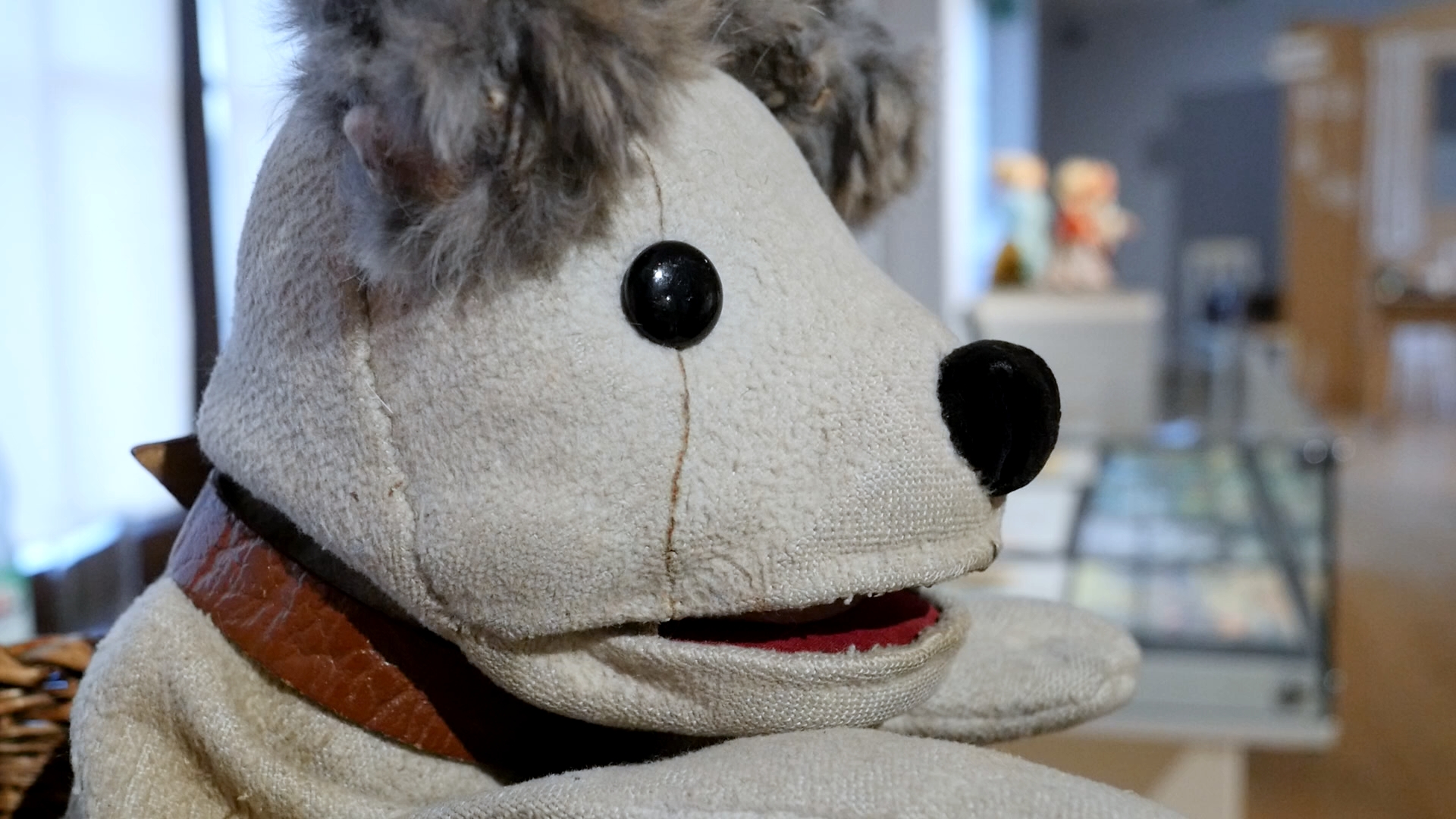 Seid ihr alle da? Kasper & Struppi im Stadtmuseum Pirna