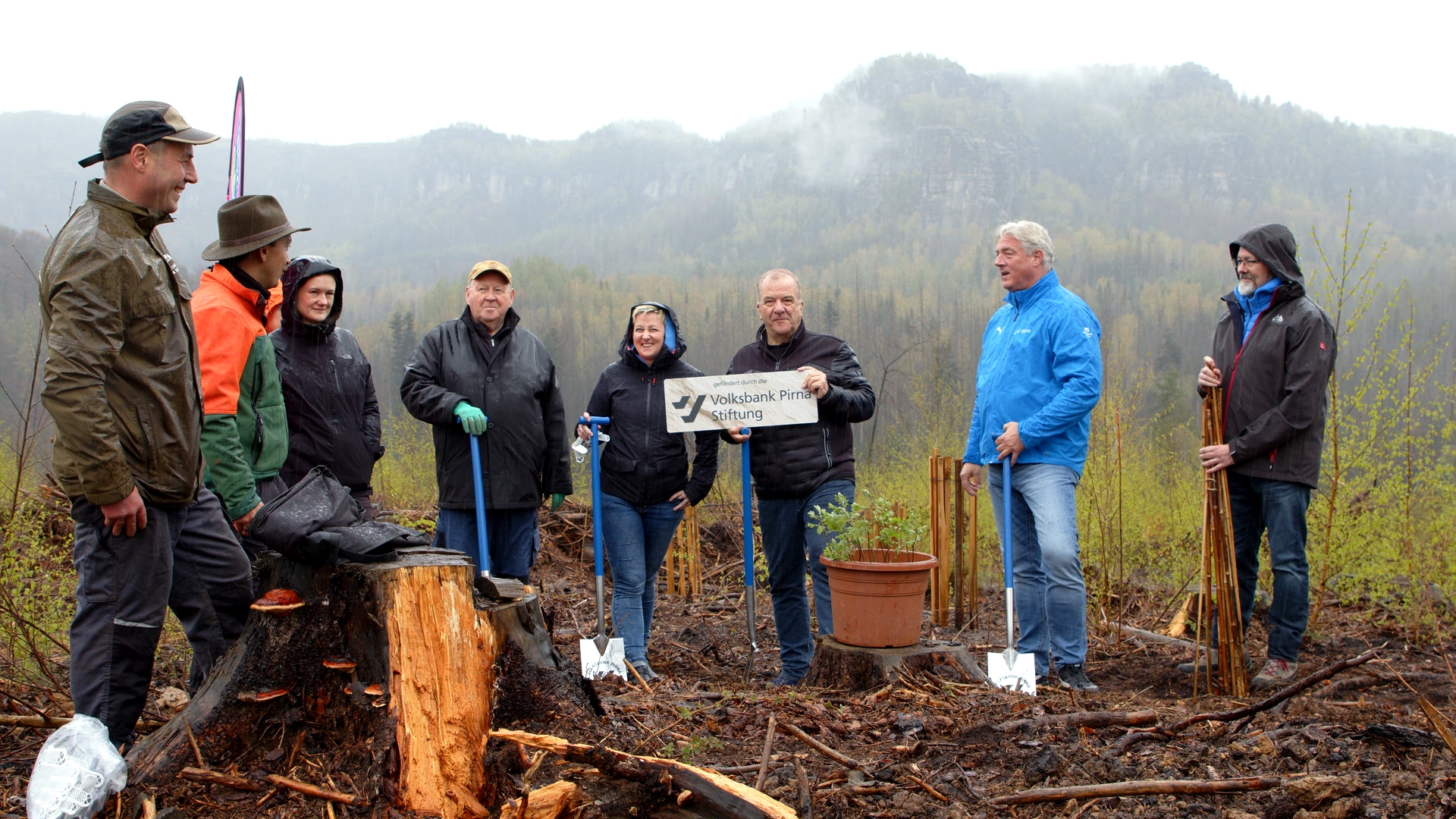 Volksbank Pirna Stiftung pflanzt 1.000 Bäume