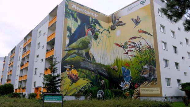 Neues Wandbild & Wohnquartier in Pirna-Copitz